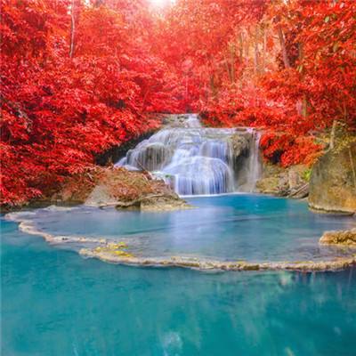 非红即蓝官方(暂未上线)v1.0.0 安卓版